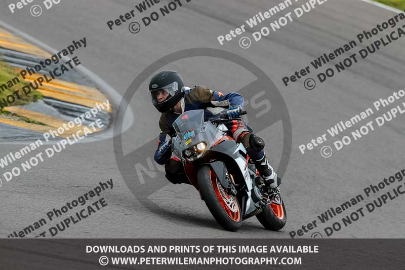 PJ Motorsport 2019;anglesey no limits trackday;anglesey photographs;anglesey trackday photographs;enduro digital images;event digital images;eventdigitalimages;no limits trackdays;peter wileman photography;racing digital images;trac mon;trackday digital images;trackday photos;ty croes